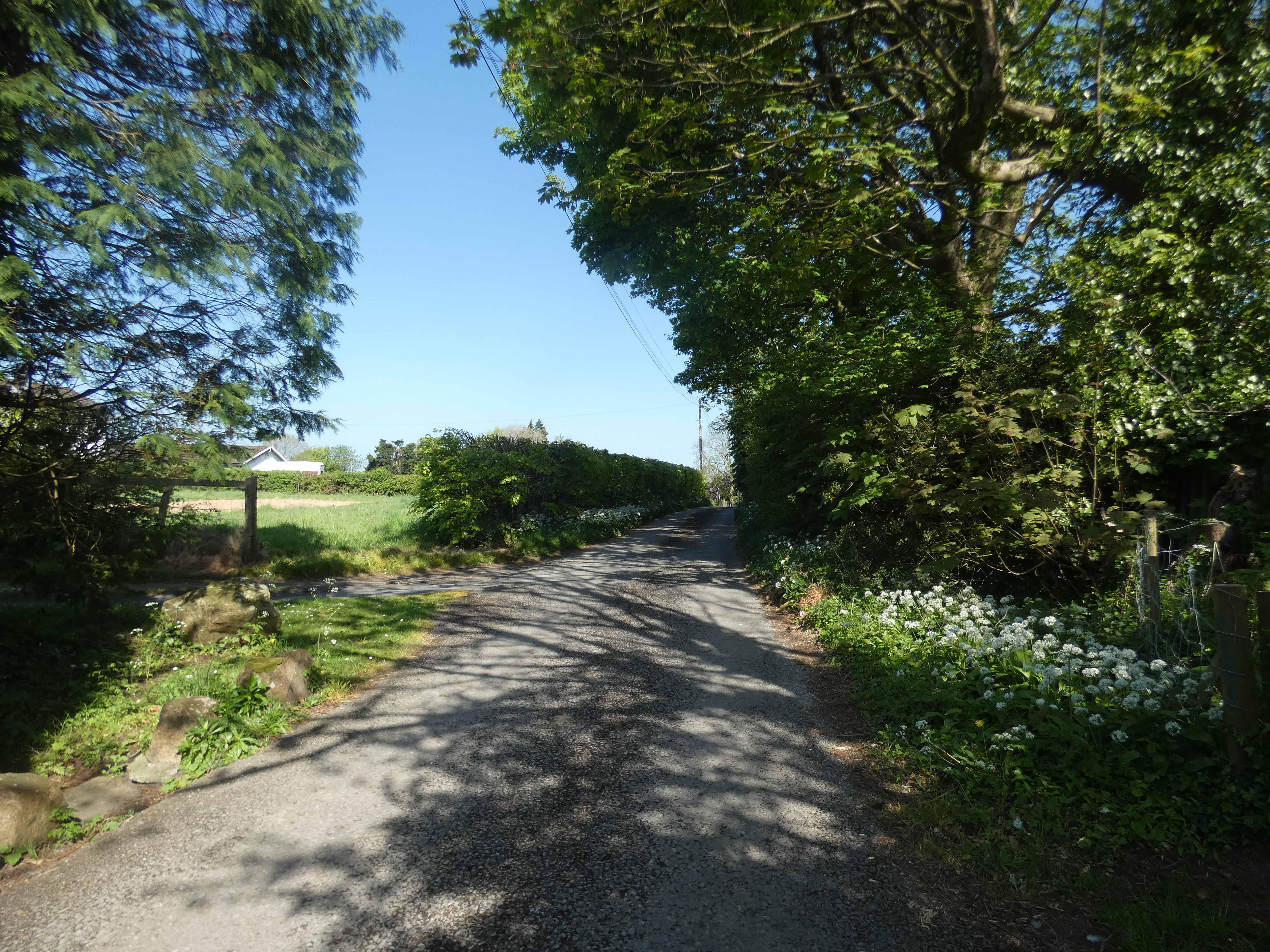 Herberts Lodge – Elegant Period Home with Private Grounds (To Let)