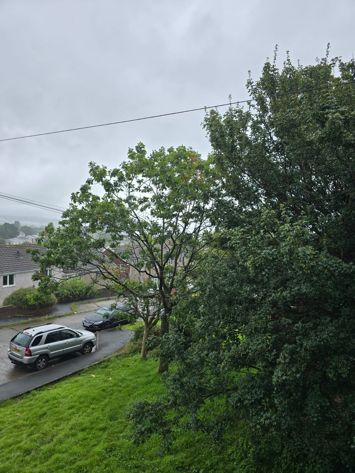 1 Bedroom Flat to Let
